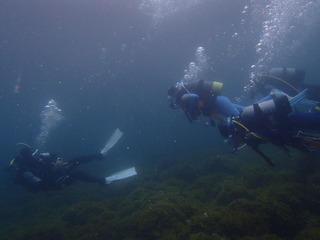 P6280314