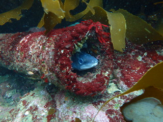 P5310448