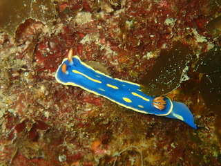 P2160018