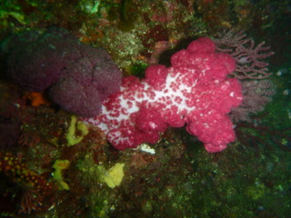 P6150487