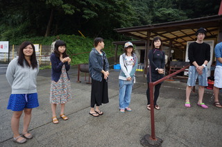 DSC07416