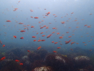 P3210023 2