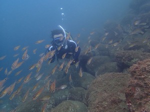 P7050019