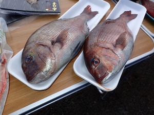 P1150252