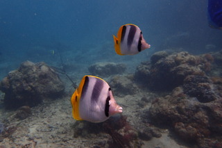 P1240336