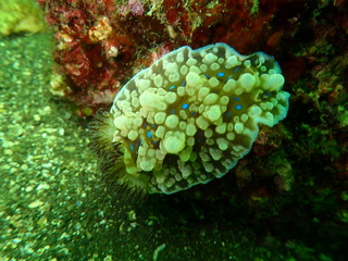 P5270039