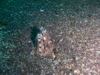 P5200009