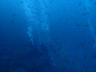 PC130077