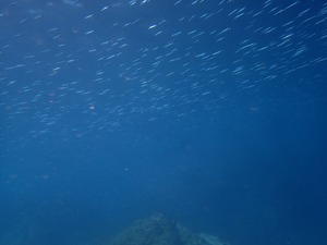 PC110128