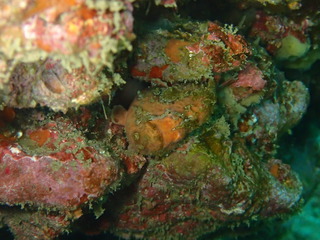 PC131015