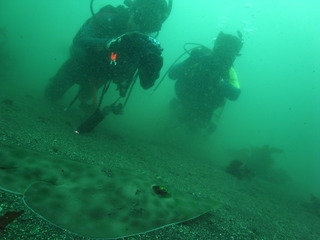 M0017757