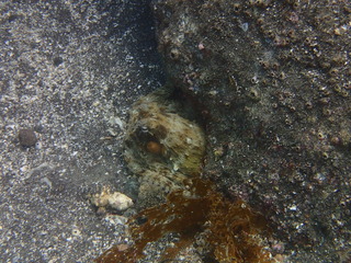 P7120181