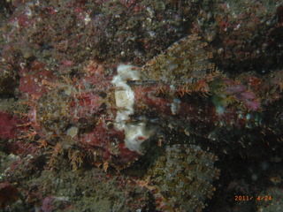M0012136