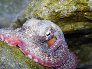 M0021283