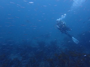 P1190011