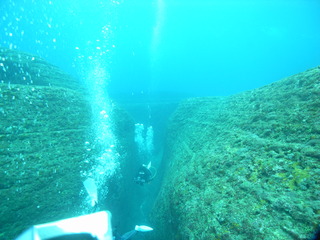 M0012363