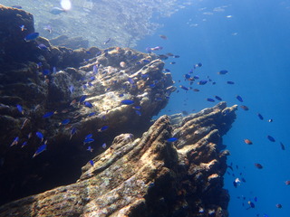 P9100560