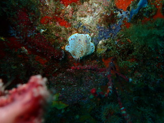 P5200159