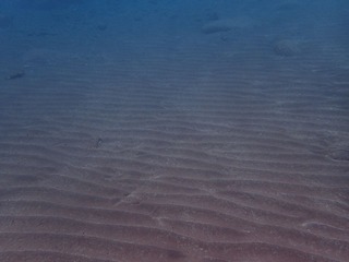 PC030025 (1)