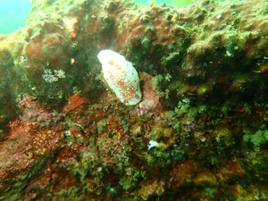 P3050043