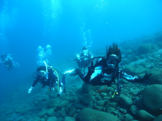 M0020778