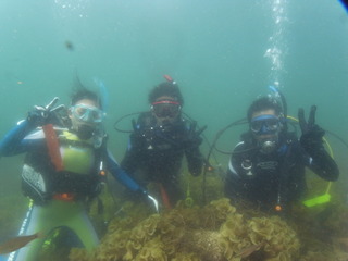 M0010896
