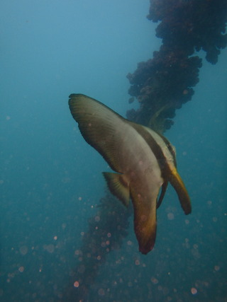 P9270046