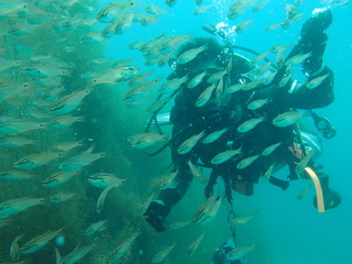 P6260069