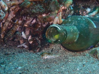 P3210078
