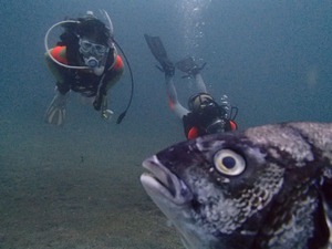 P7090025