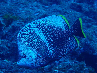 P8130301