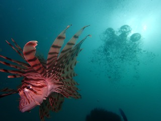 P5011141