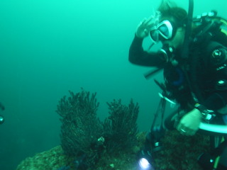 M0010102