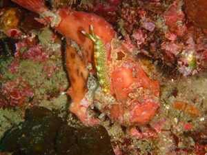 P4080026