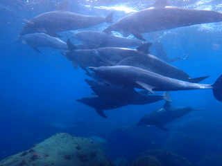 P7220368