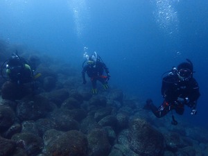 PA300122