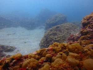 P2220237