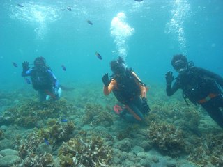 �å����ɼ��������ú��桪 8.5����