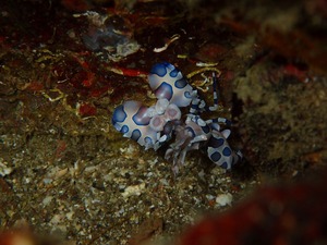 PC070057