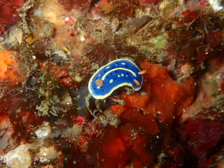 P5040149