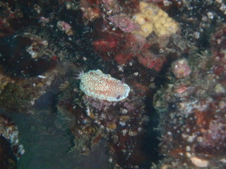 P7020008