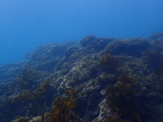 P2170009