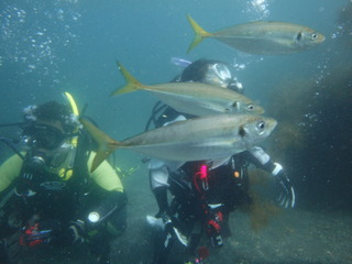 P7120058