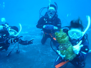 M0015709