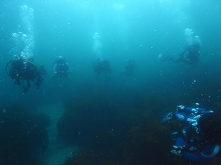 M0021964