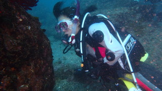 P4010118