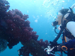 P7200221