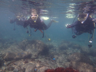 P7020532