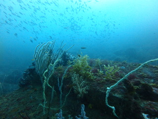 P6180370