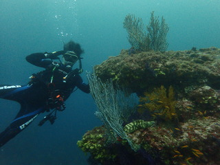 P6250199
